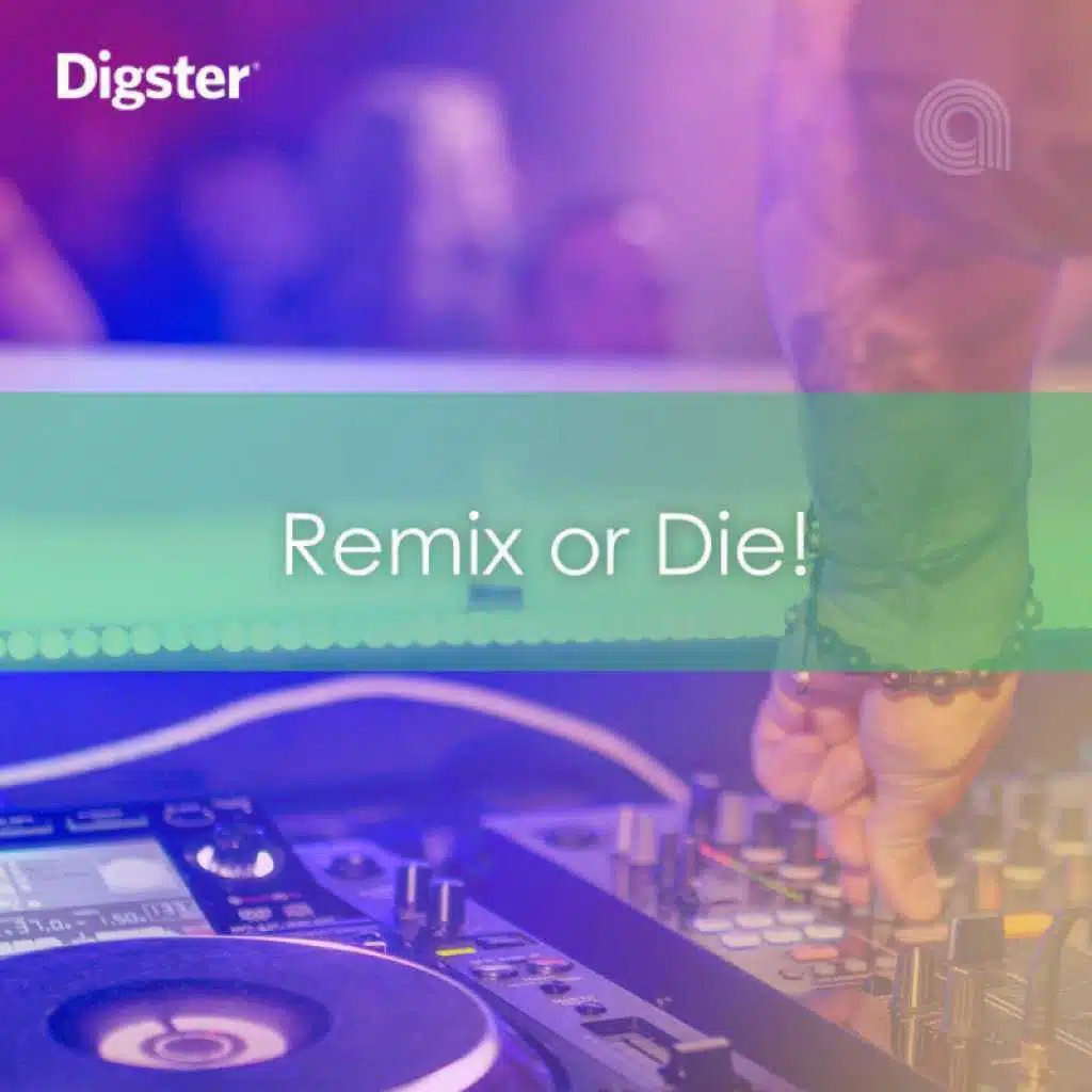 DIGSTER - Remix Or Die! The Best Remixes