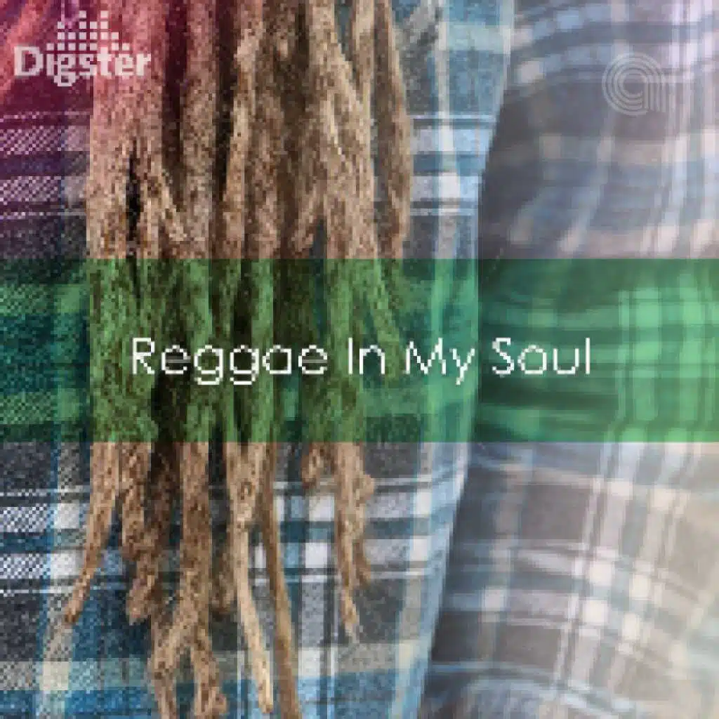 DIGSTER - Reggae In My Soul