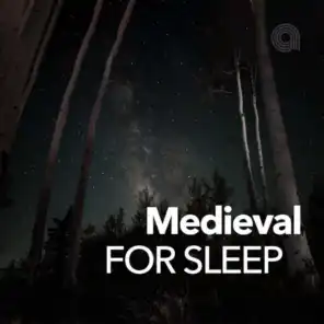 Medieval For Sleep