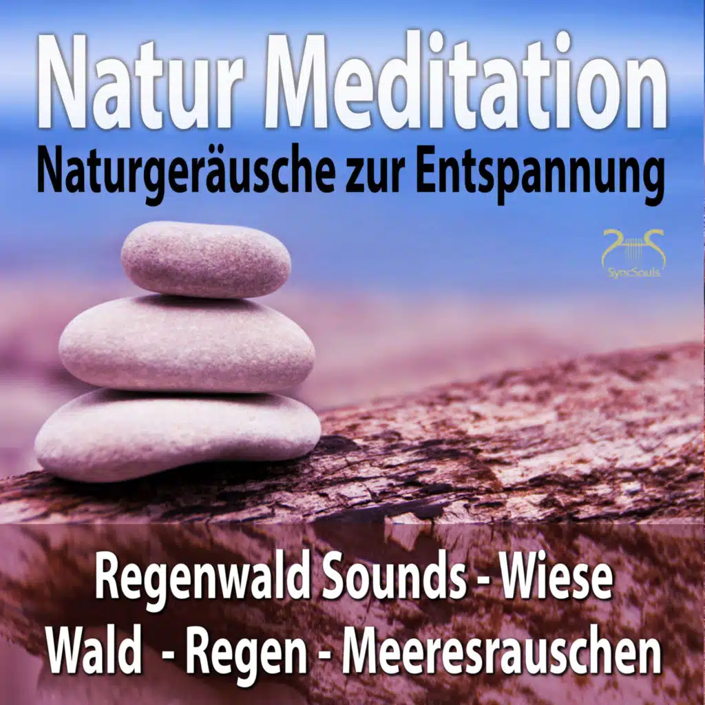 Meditation in heimischer Natur: Leichter Wind und Vogelzwitschern