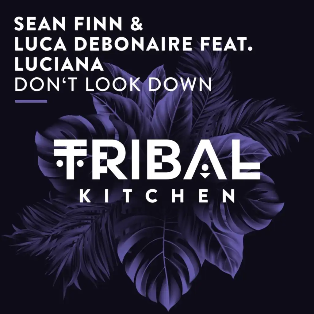 Don't Look Down (Radio Edit) [feat. Luciana]