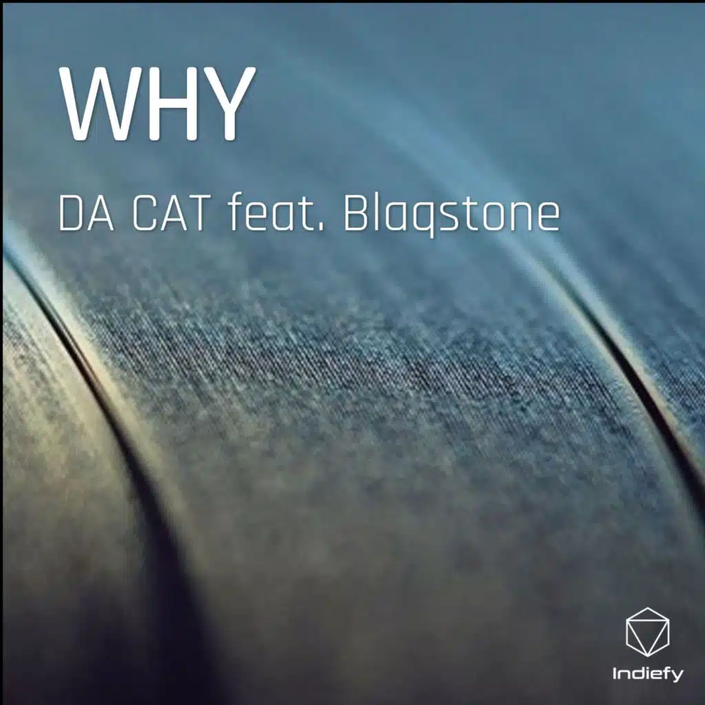 WHY (feat. Blaqstone)
