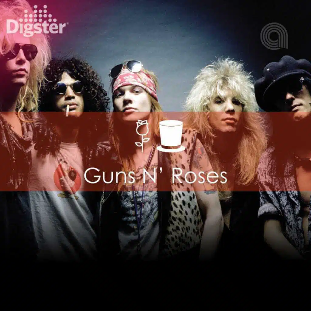 DIGSTER DIVE - Guns N Roses