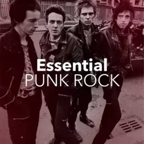 Essential Punk Rock