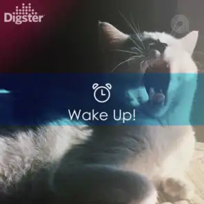 DIGSTER - Wake Up!
