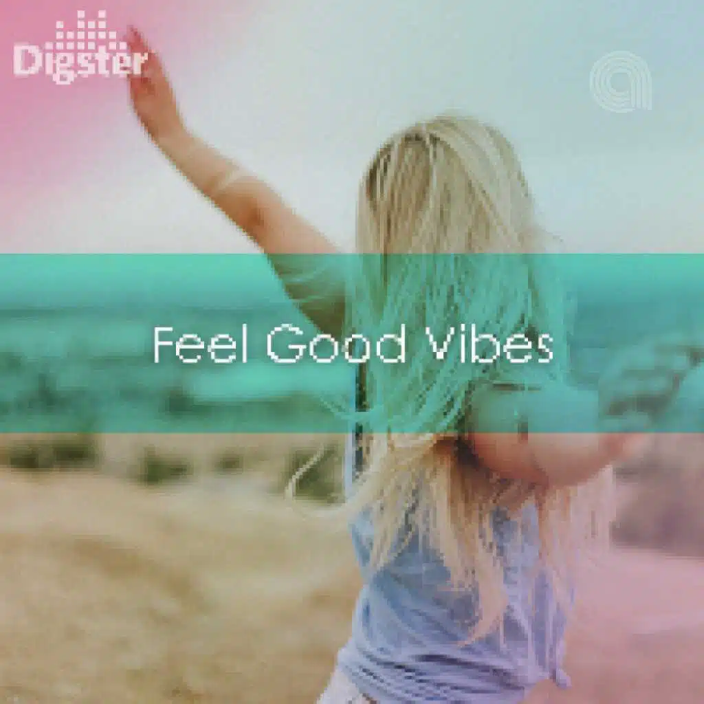 DIGSTER - Feel Good Vibes