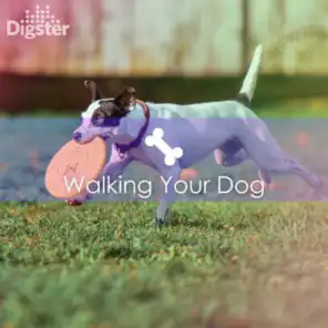 DIGSTER - Walking Your Dog