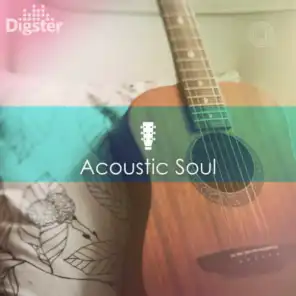 DIGSTER - Acoustic Soul