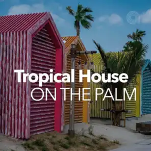 Tropical House on the Palm