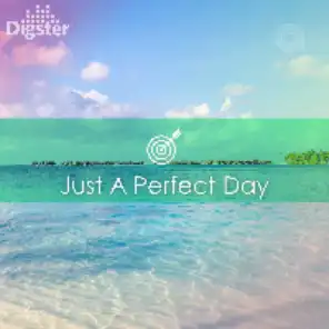 DIGSTER - Just A Perfect Day
