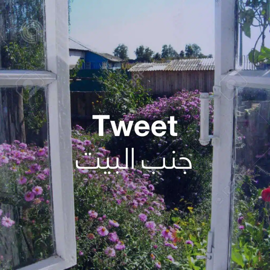Tweet جنب البيت
