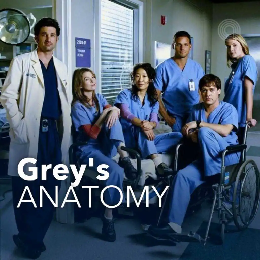 Grey's Anatomy TV Series Soundtrack