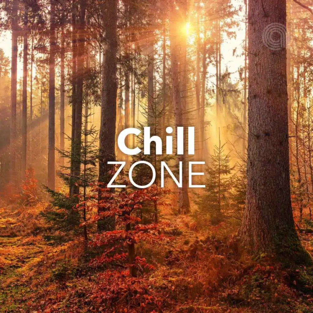 Chill Zone - by Black Hole Recordings