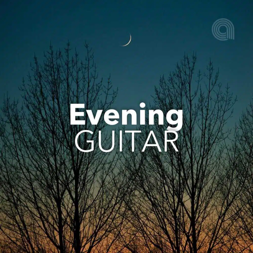 Evening Guitar