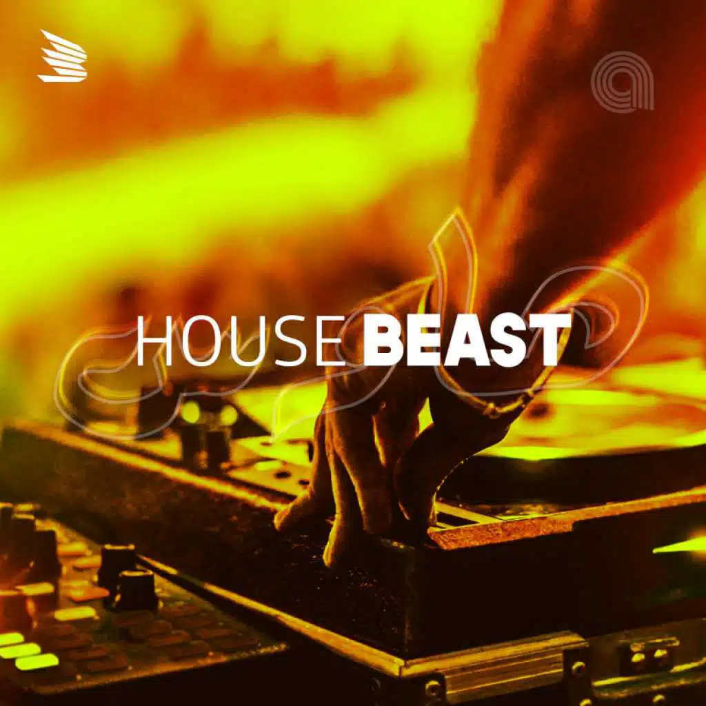 HOUSE BEAST