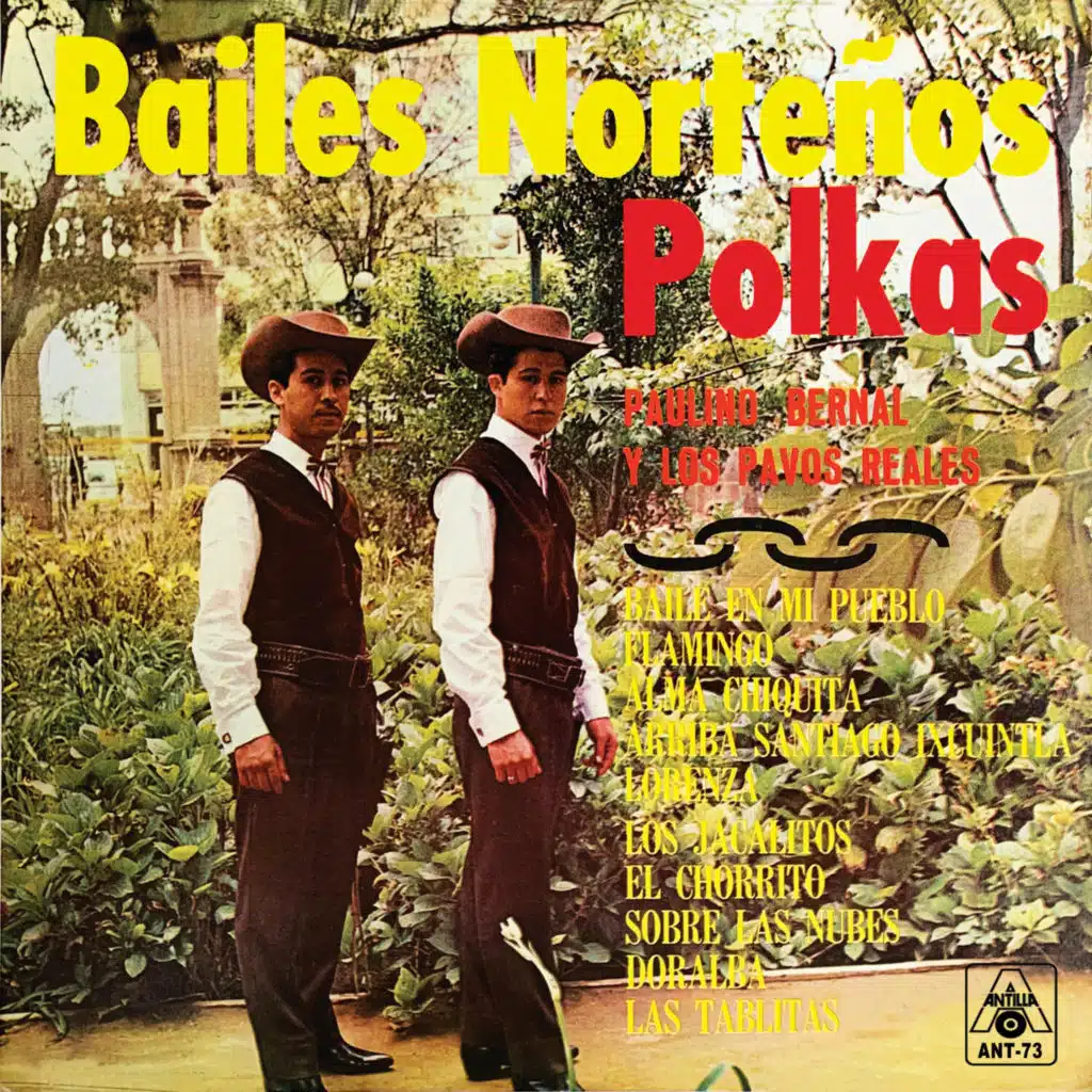Bailes Norteños Polkas (Instrumental)