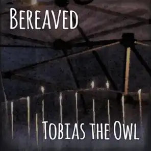 Tobias The Owl