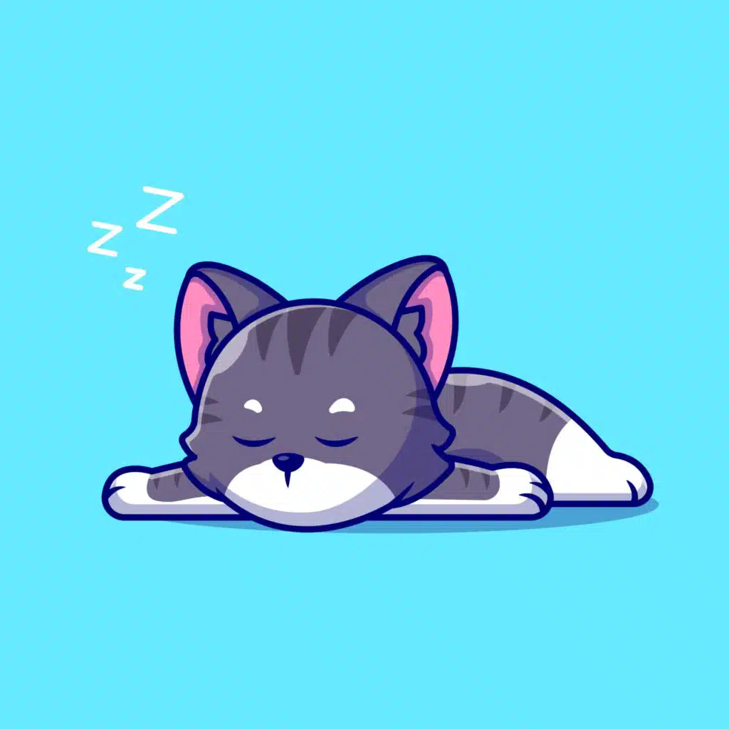 Sleepy Cat Music