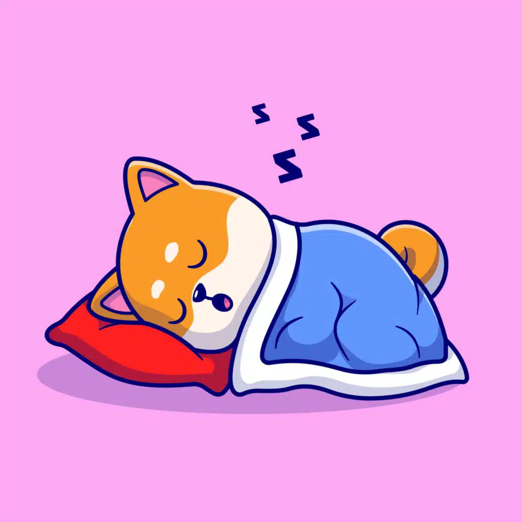 Sleepy Dog Music