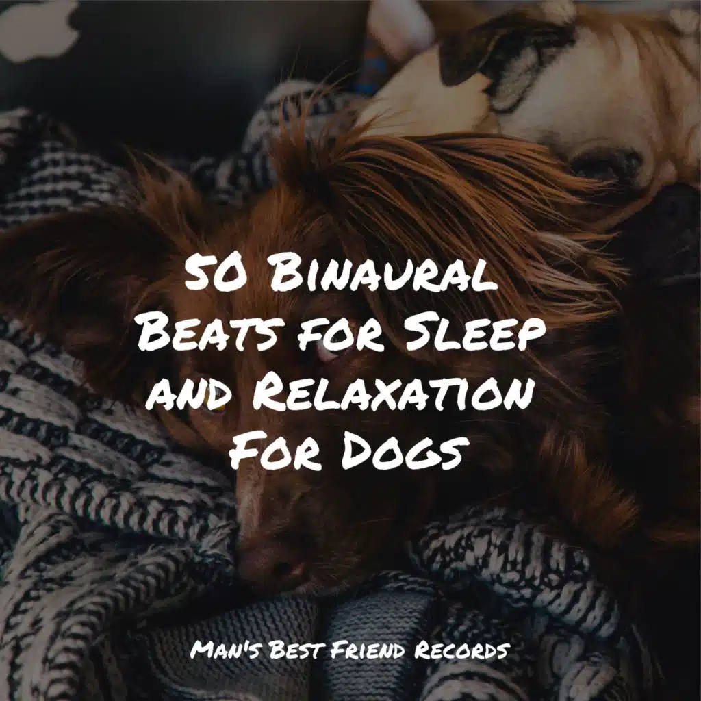 Official Pet Care Collection, Sleeping Music For Dogs & Sleep Music For Dogs