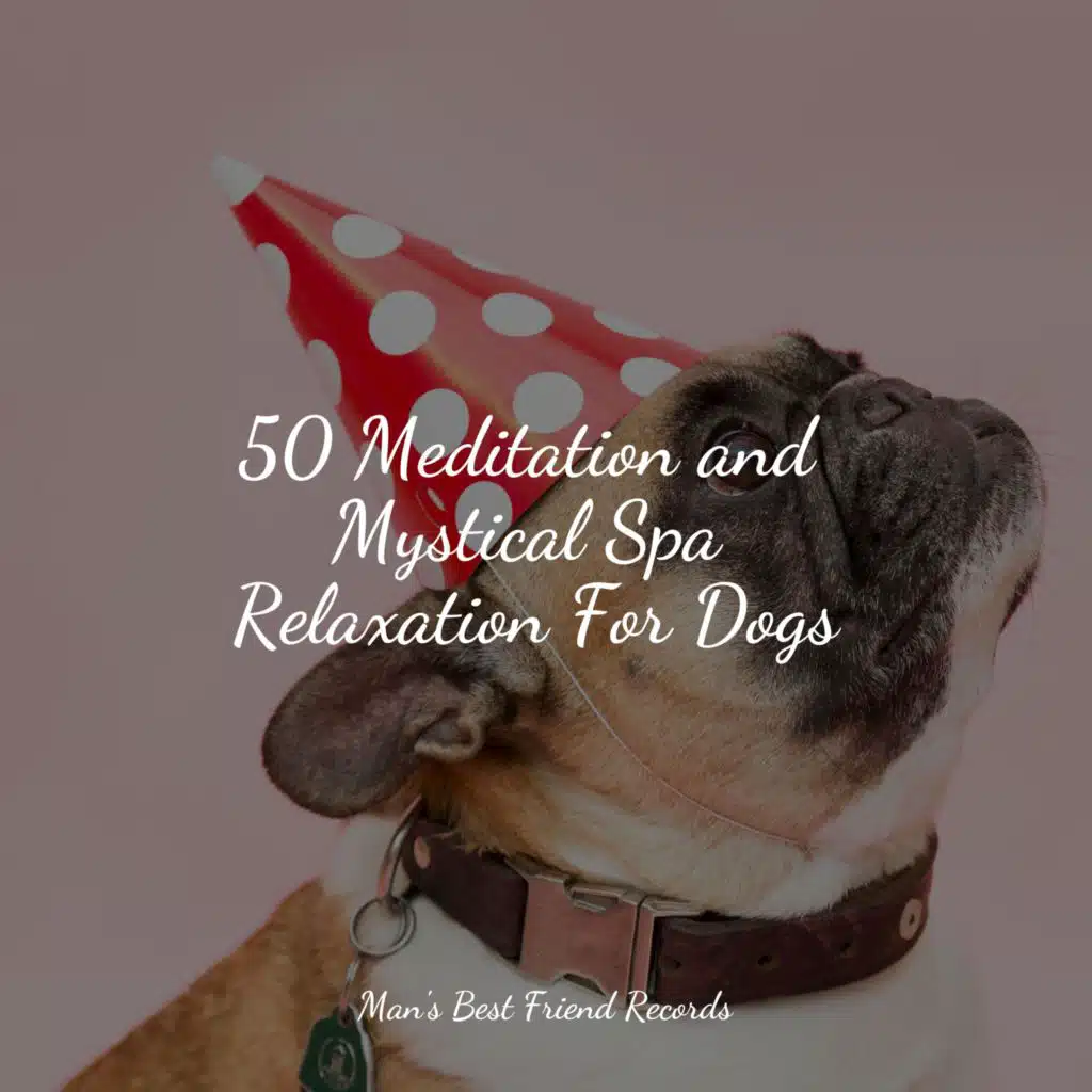 Relaxation Music For Dogs, Jazz Music Therapy for Dogs & Relaxmydog