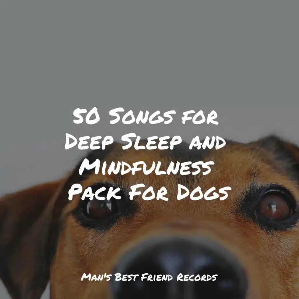 Lullabies for Sleep