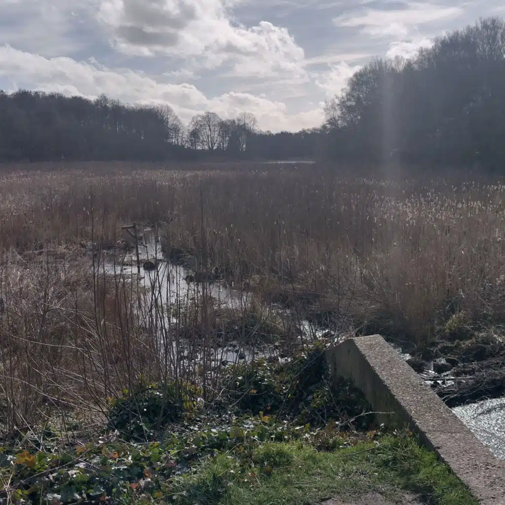 I got peace like a river