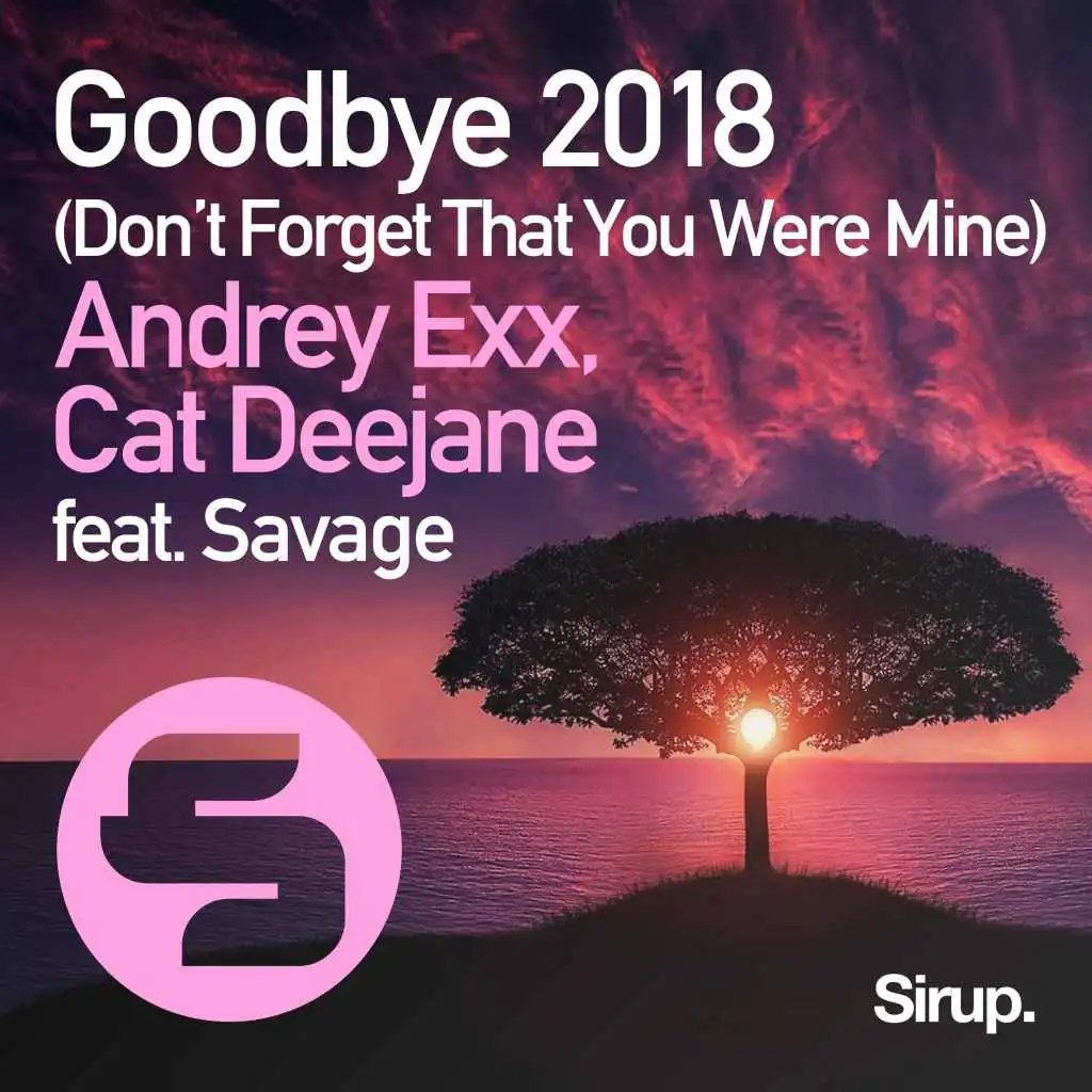 Goodbye (Don't Forget That You Were Mine) 2018 [feat. Savage]