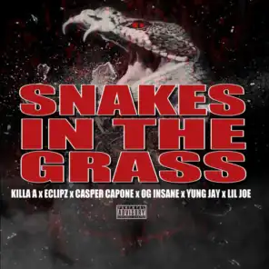 Snakes in the Grass (feat. Eclipz, OG Insane, Lil Joe & Yung Jay)