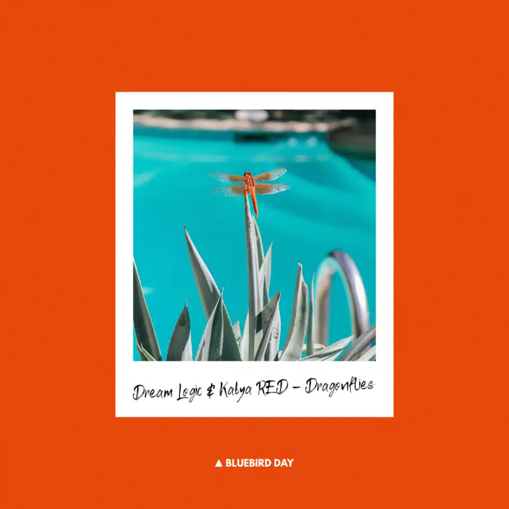 Dragonflies (Vocal Version)