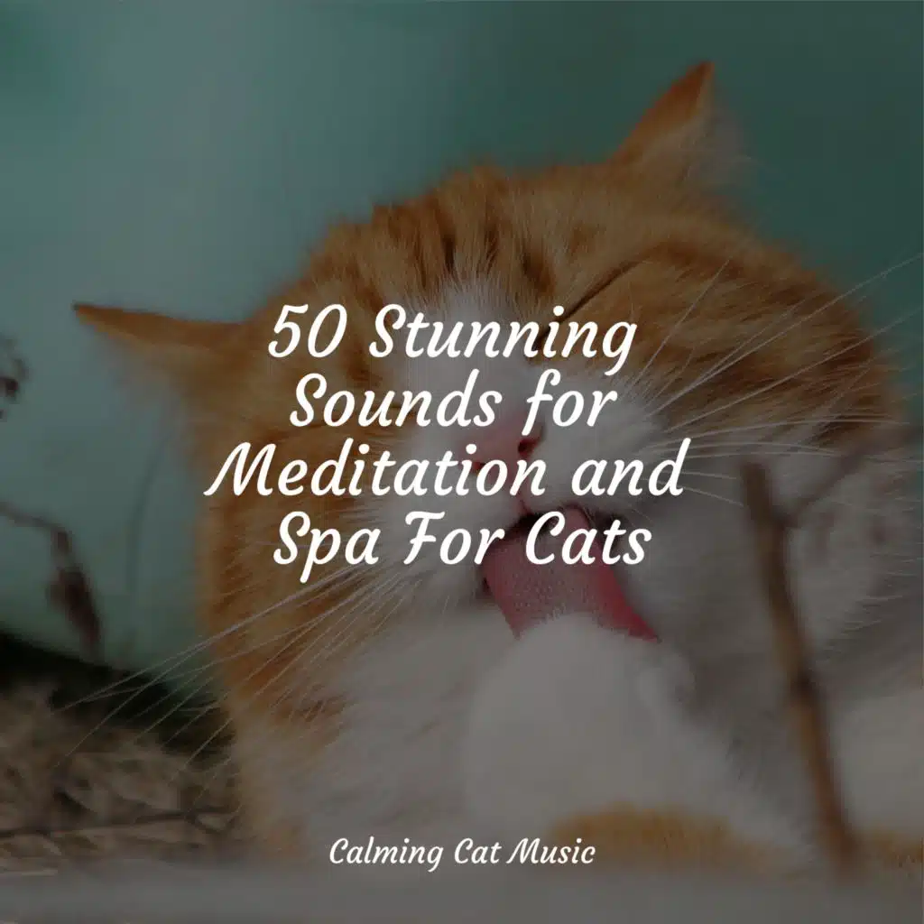 Healing Spells