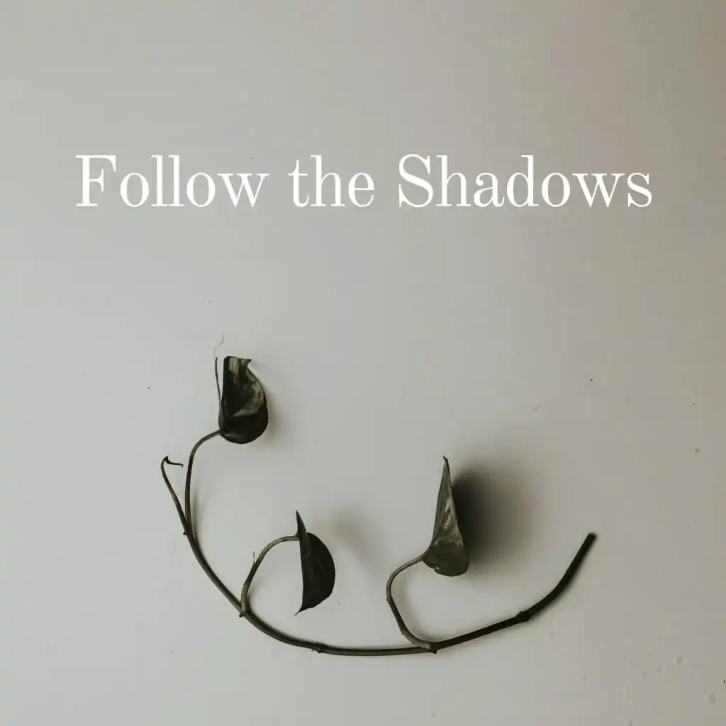 Follow the Shadows