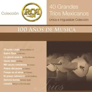 RCA 100 Anos De Musica - Segunda Parte (40 Diferentes Grandes Trios - Unica E Inigualable Coleccion)