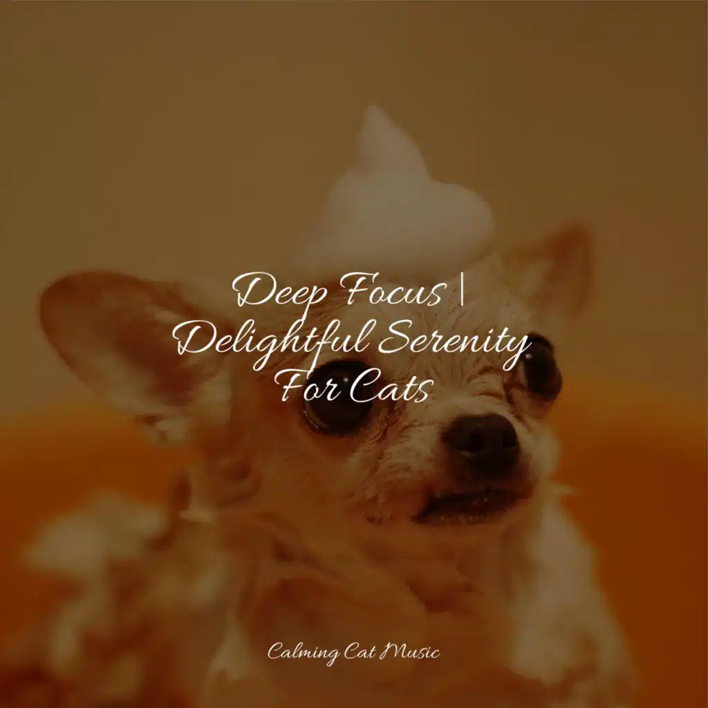 Official Pet Care Collection, Calm Music for Cats & Music For Cats Peace