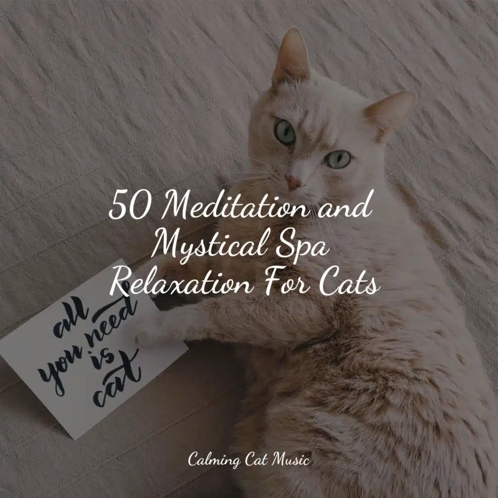 Music for Resting Cats, Music for Relaxing Cats & Music for Cats Deluxe