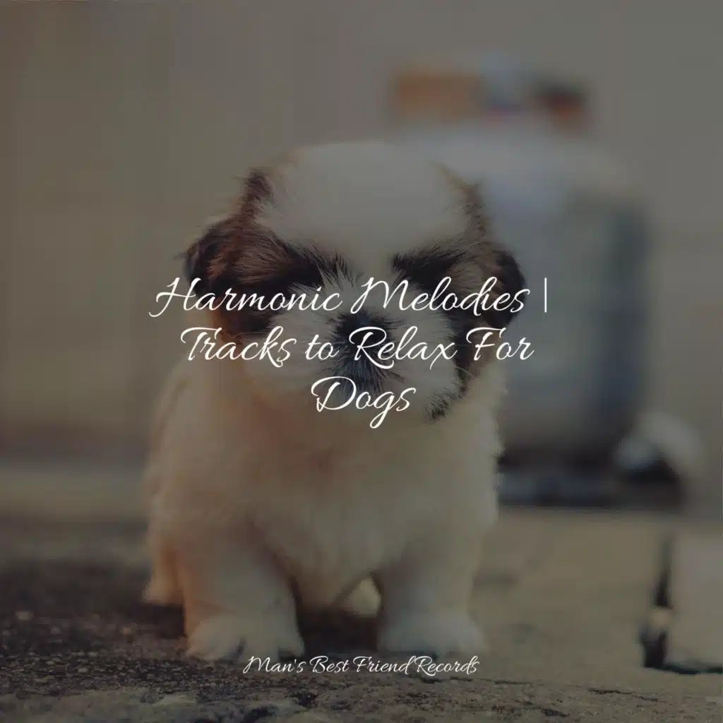 Lullabies for Sleep