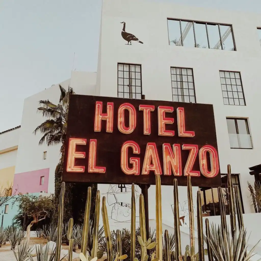 Little Moon (Acoustic) [LIVE from Hotel El Ganzo]
