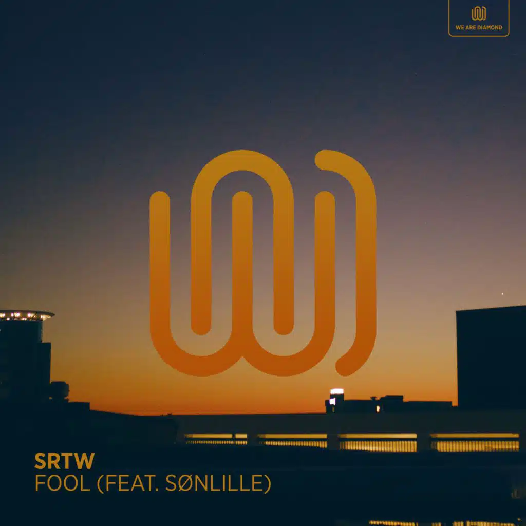 Fool (feat. Sønlille)