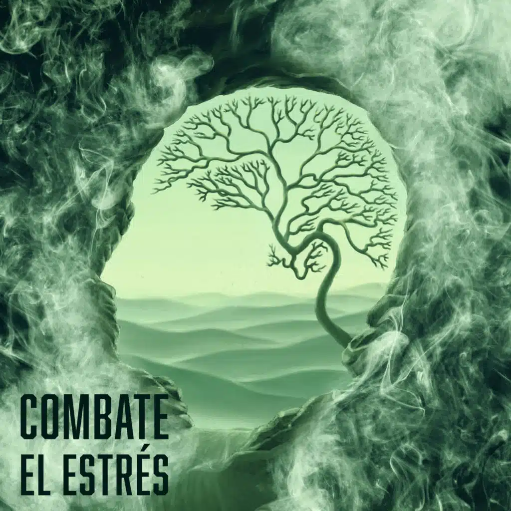 Antiestrés (Música Spa)