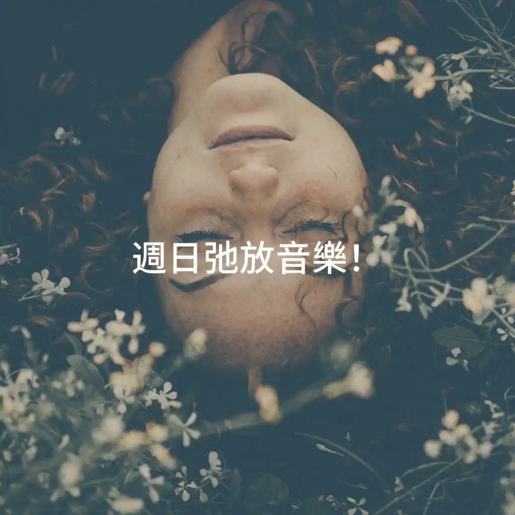 Buddha Zen Chillout Bar Music Café, Classical Chill Out & Café Ibiza Chillout Lounge