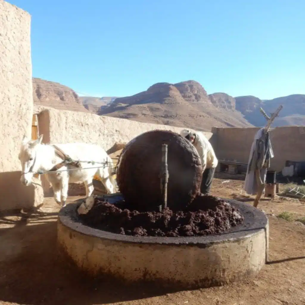 006 - Travel misadventures in Chile & Morocco