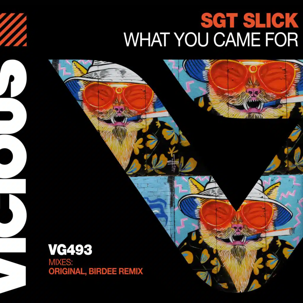 What You Came For (Birdee Remix)