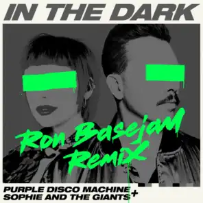 In the Dark (Ron Basejam Dub Mix)