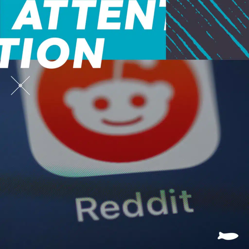 How to Grow Your Audience by Engaging With Reddit w/Thomas Igou