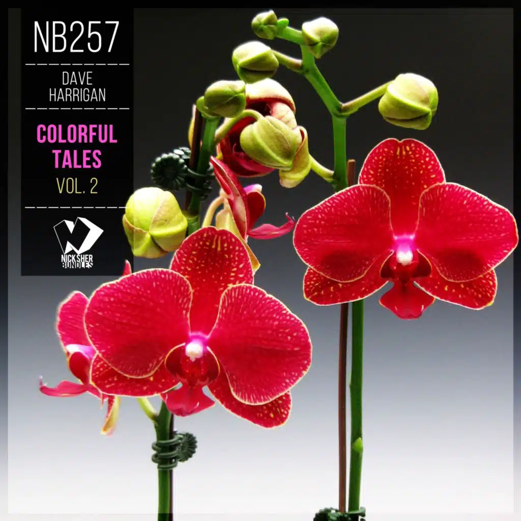 Colorful Tales, Vol. 2