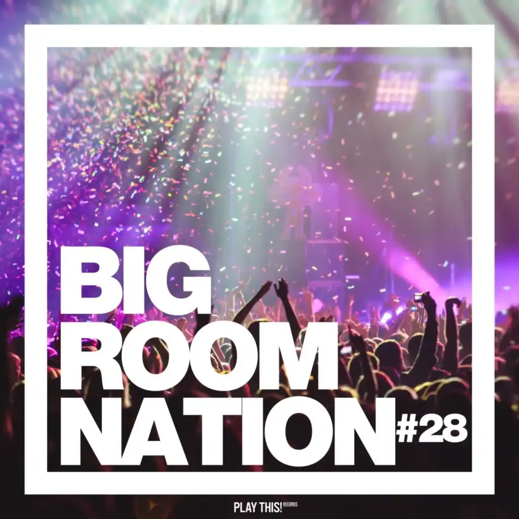 Big Room Nation, Vol. 28