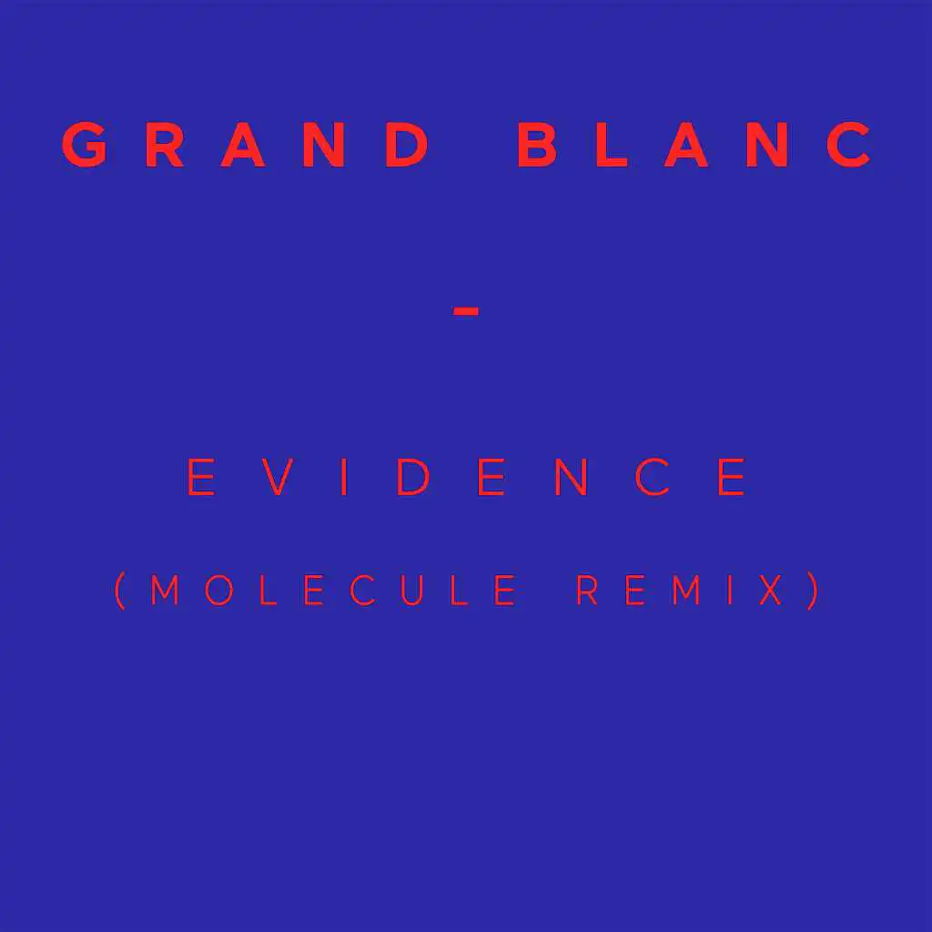 Evidence (Molecule Remix) - Single