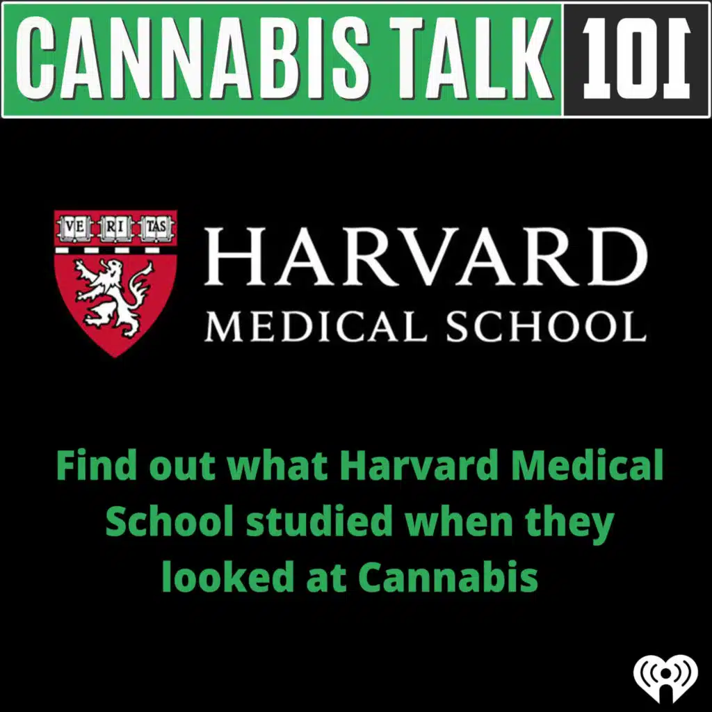 Find out what Harvard Medical School studied when they looked at how cannabis can treat chronic pain.