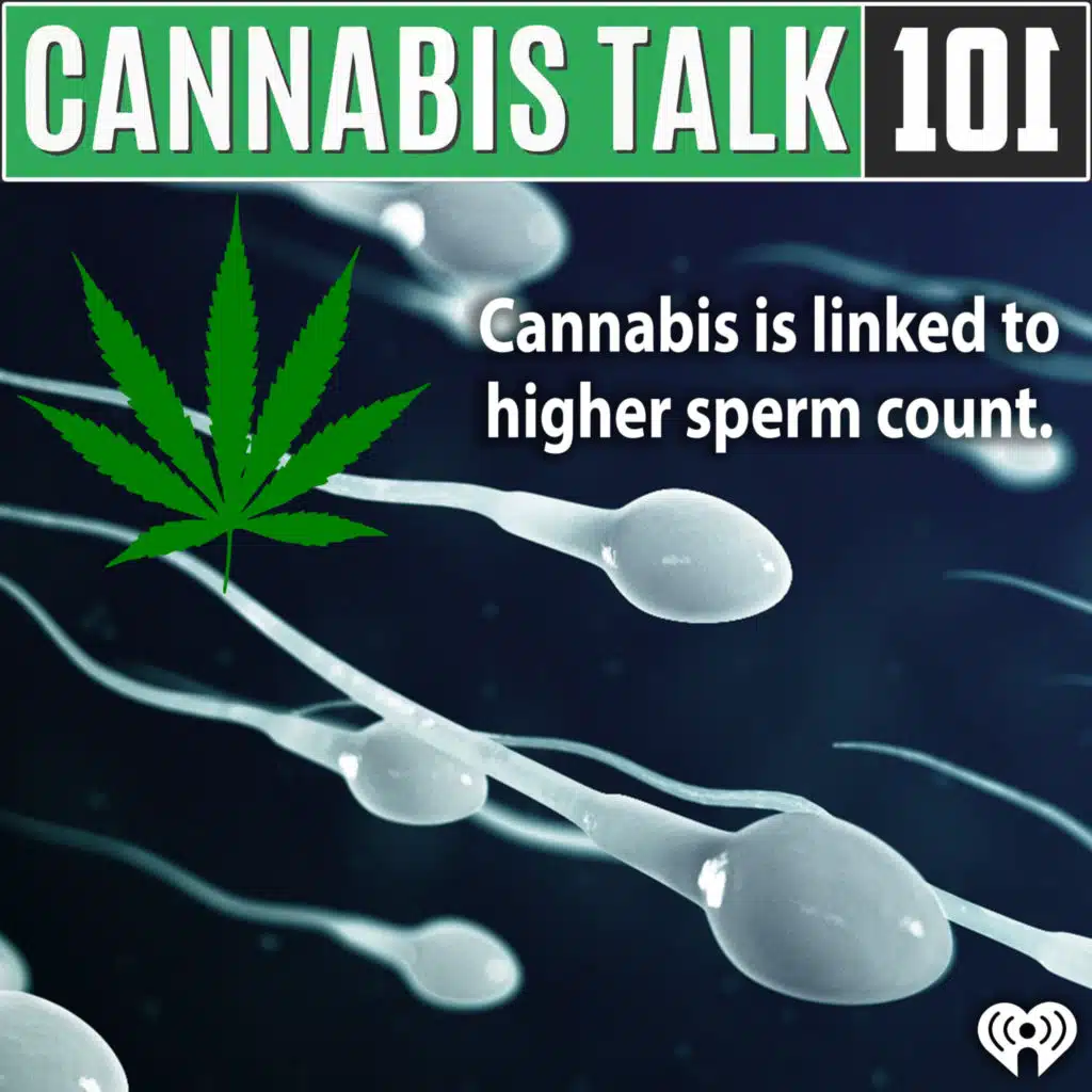 Cannabis is linked to higher sperm count