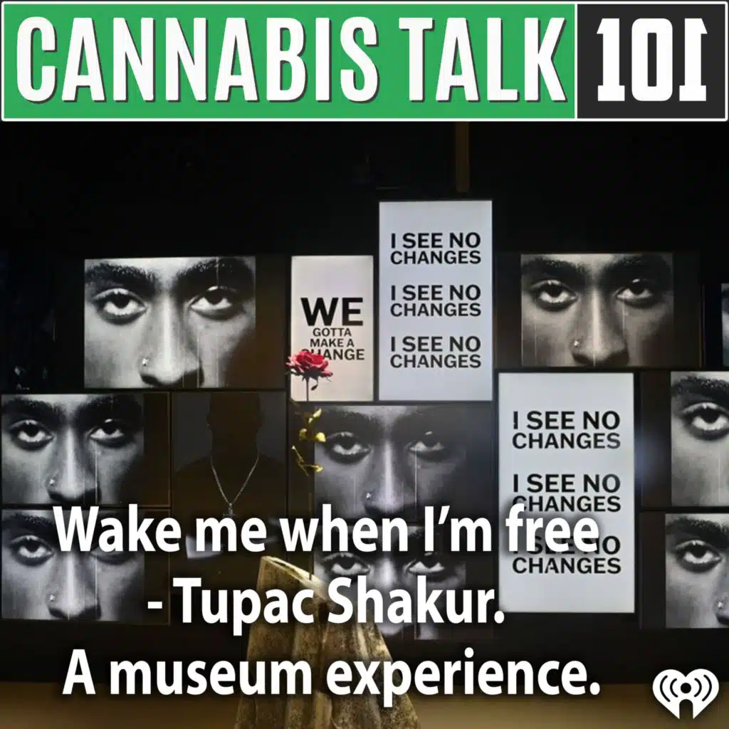 Wake me when I’m free - Tupac Shakur. A museum experience.